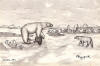 Ahgupuk original adult polar bear with cub feeding on seal
