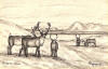 Ahgupuk original pen and ink of Caribou on the Arctic Tundra