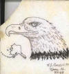 Avessuk ~ Eagle Head