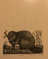 DeArmond print Beaver