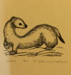 DeArmond print Weasel