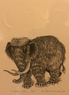 DeArmond print Wooly Mammoth