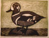 DeArmond print titled Duck on a Rock