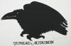 DeArmond print Juneau Audubon