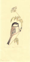 DeArmond print titled Small Bird