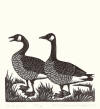 DeArmond print titled Wild Gees