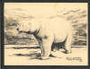 Nupok Malewotkuk reproductions of Polar Bears on placemats