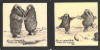 Nupok Malewotkuk reproductions of Walrus on coasters