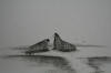 P. Noyakuk original Walruses on ice floe