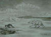 Walluk polar bear stalking a seal