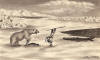 Walluk original ~ Eskimo fighting off a polar bear