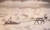  Walluk original pen and ink Eskimo with reindeer pulling sled